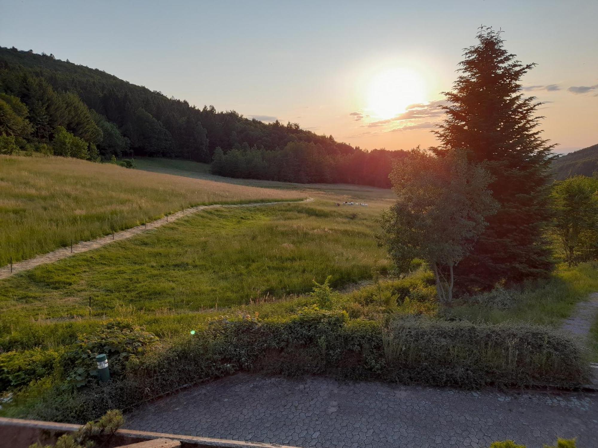 사스바흐발덴 Schwarzwald Pur 아파트 외부 사진
